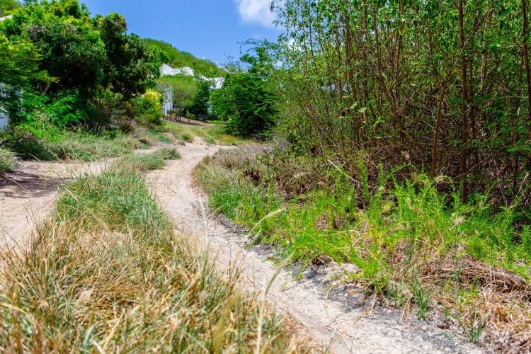 The Escape Property Shoot-18