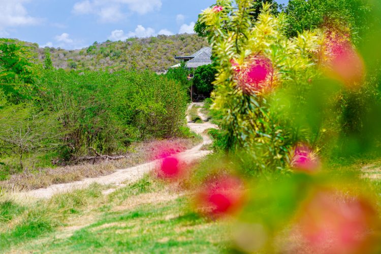 The Escape Property Shoot-21