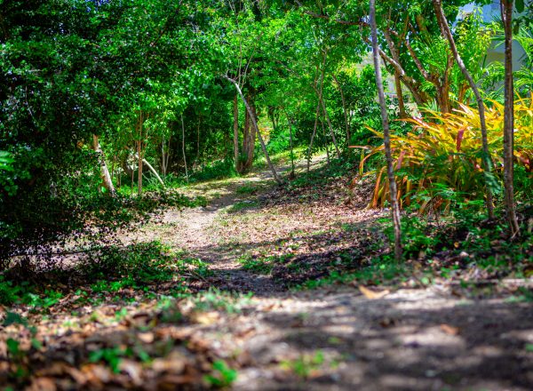 The Escape Property Shoot-33